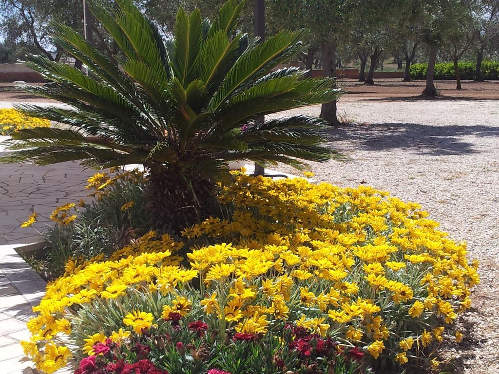 Bed and Breakfast Otranto Le Sancinare Casamassella Екстер'єр фото